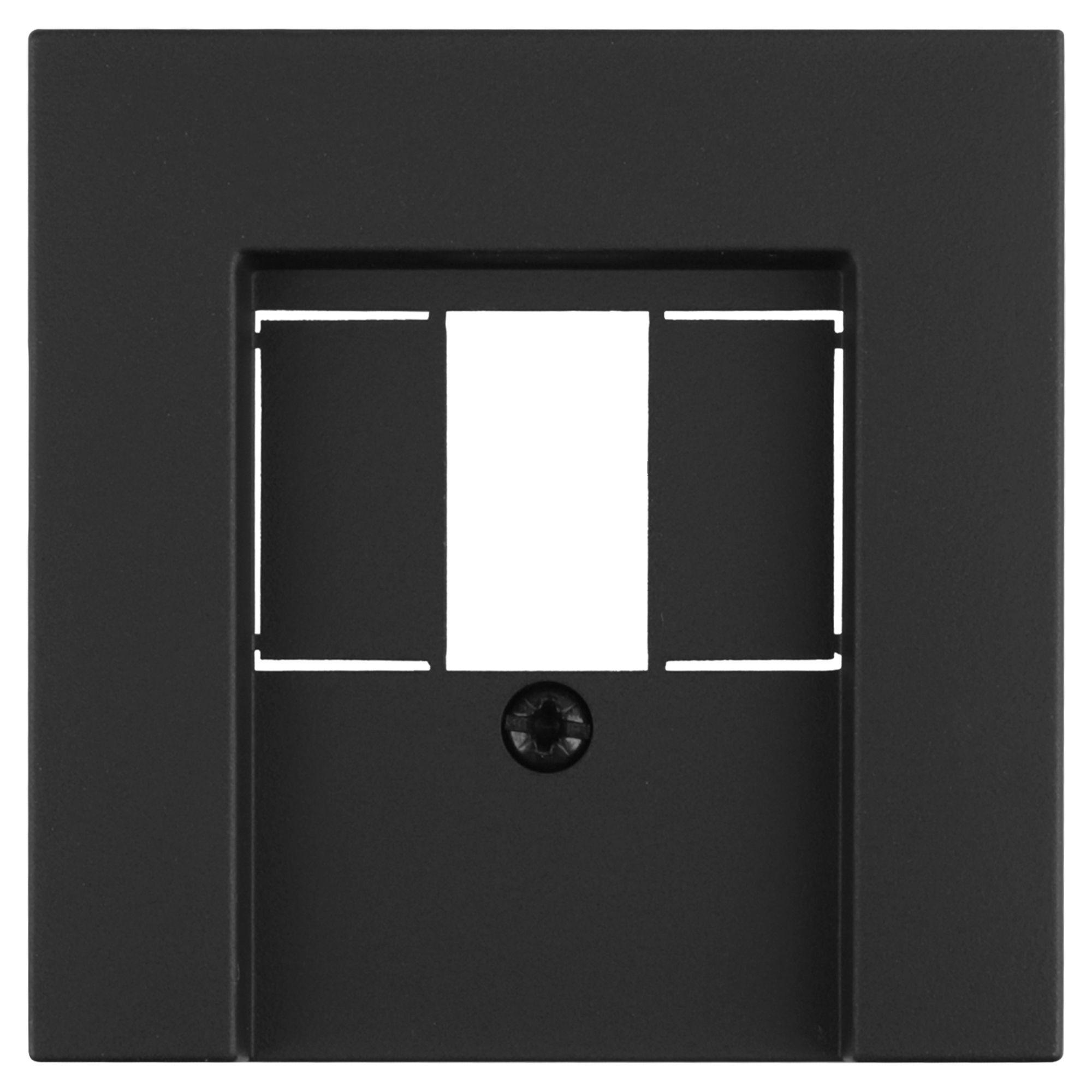 GIRA E2 AFDEKPLAAT - TAE/USB - ZWART