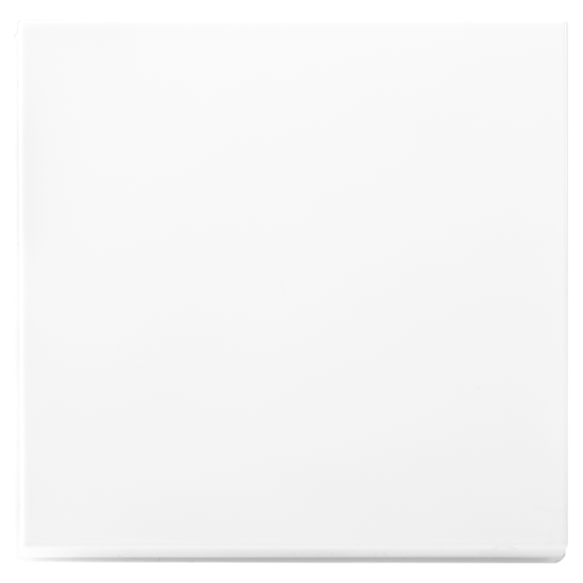 ION INDUSTRIES V1/J1 TASTDIMMER - TOETS - 1-VOUDIG - ALPIN WIT