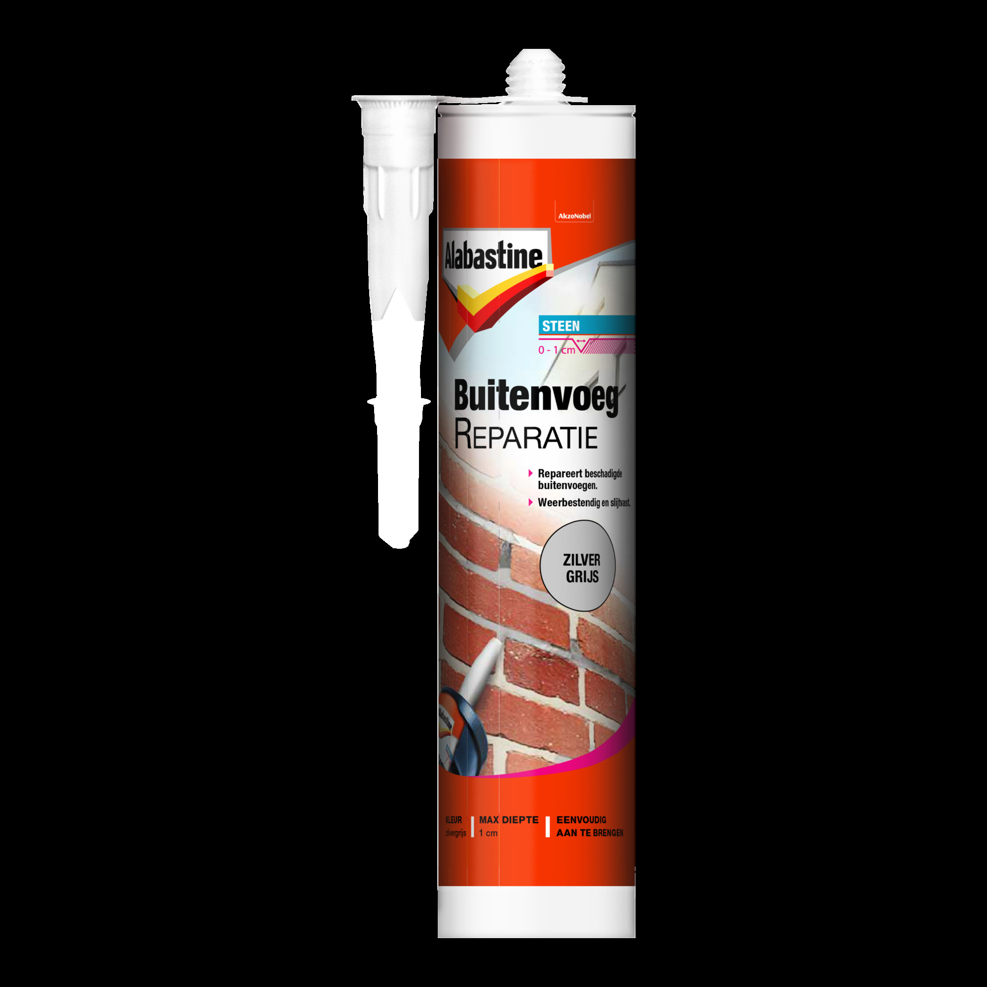 ALAB.BUITENVOEGREPAR..ZILV.GR 310ML